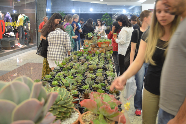 Exposição e oficinas para aprender a cuidar de suculentas acontece neste domingo (18) no Shopping Jardim das Américas, em Curitiba. 
Foto: Divulgação. 
